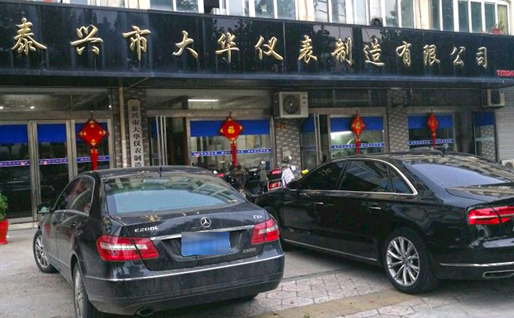 泰兴市大华仪表制造有限公司